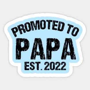 Promoted to Papa Est 2022, Fathers Day 2022 Sticker